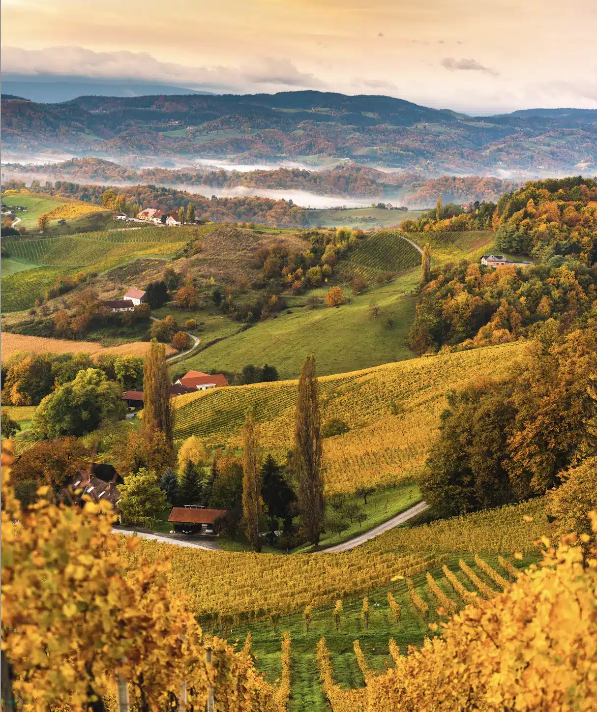 Styria is a mountainous, forested state in southern Austria, known for its wine, spas and castles.